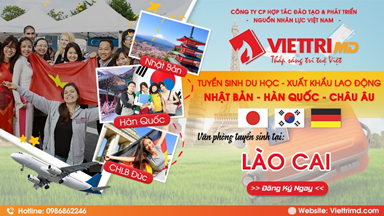Tư vấn du học Nhật Bản uy tín tại Lào Cai - Việt Trí MD