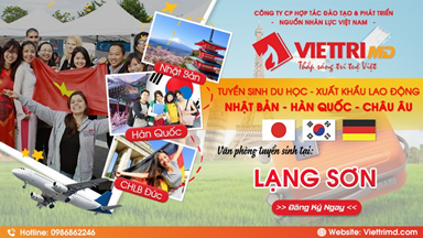 Tư vấn du học Nhật Bản uy tín tại Lạng Sơn - Việt Trí MD
