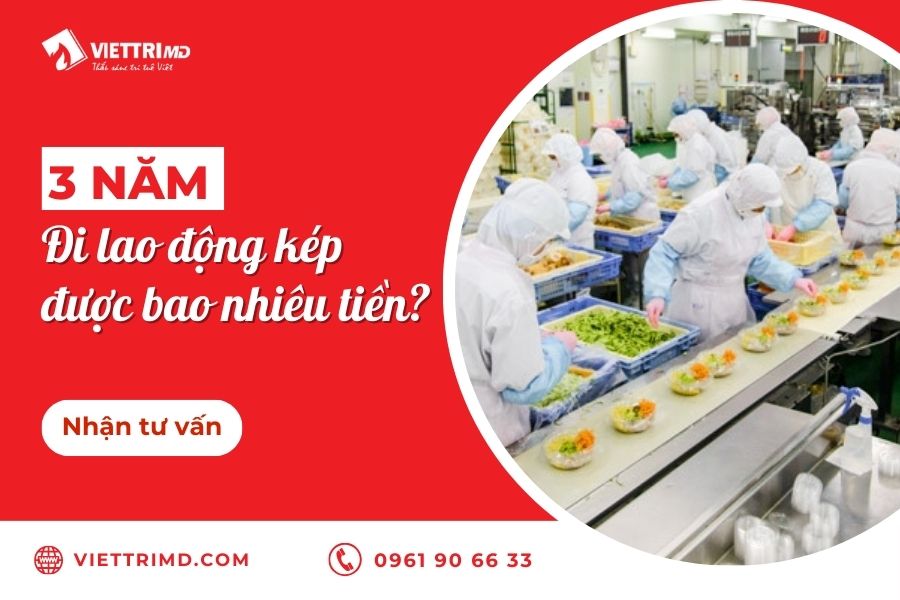 3 năm đi lao động kép Nhật Bản được bao nhiêu tiền?